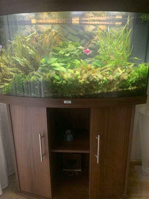 Аквариум Juwel Vision 180 LED с тумбой