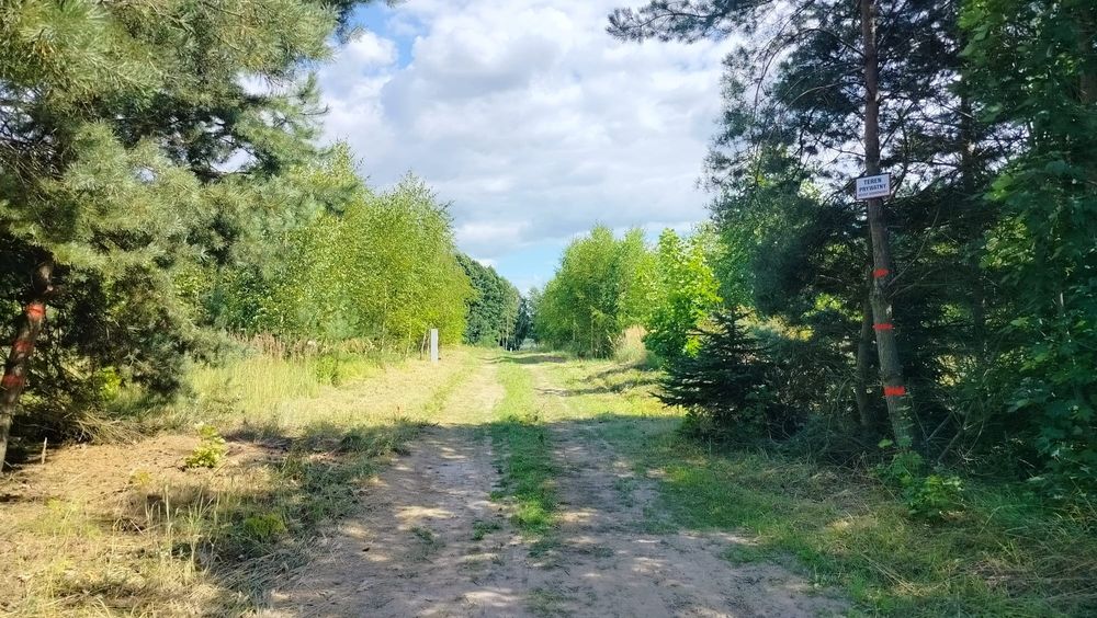 Działka budowlana przy jeziorze, Bory Tucholskie, WZ, media - Widok 2