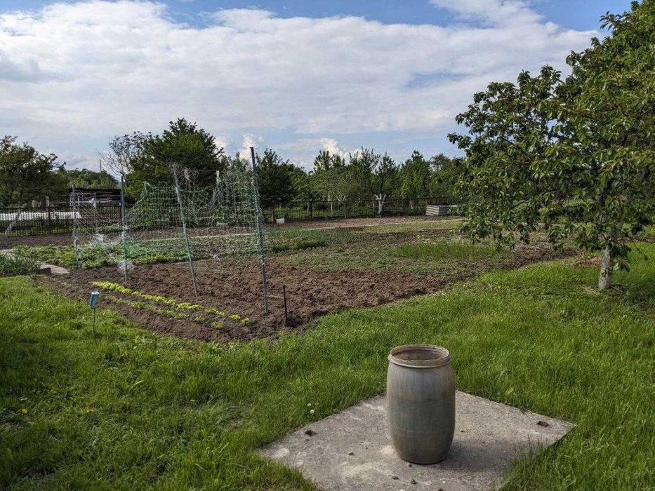 Продається ділянка з будинком в с.Лисець 19 сот. 60м2 (12)