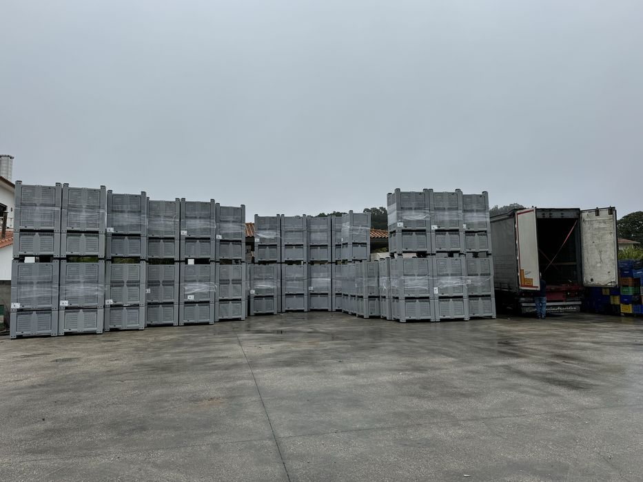 PALOTES DE PLASTICO grandes64739492135554122