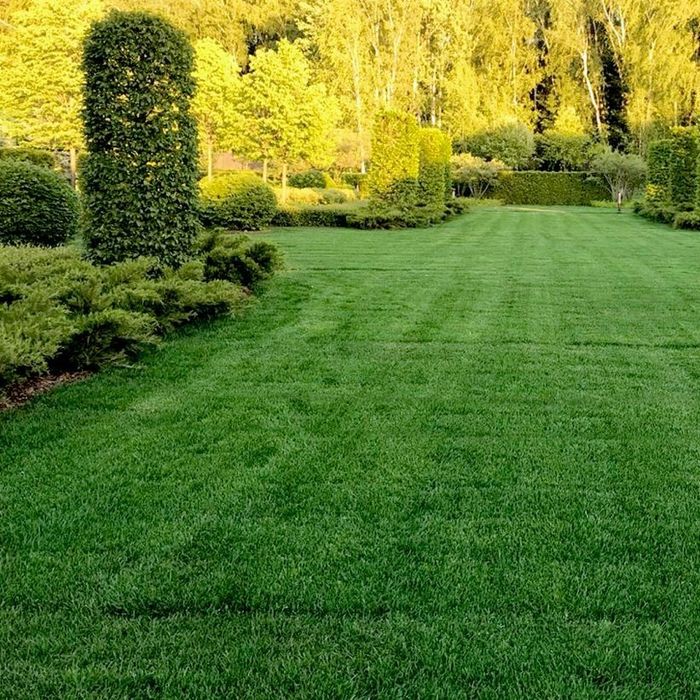 Grabienie liści, koszenie trawy sadzenie roślin