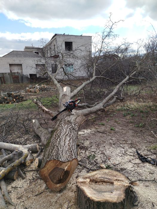 Спил і чистка дерев