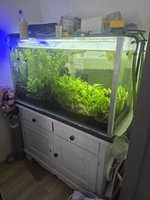 Akwarium 420l 12opti