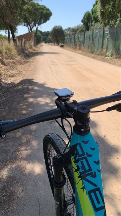 Focus Raven - tam. S