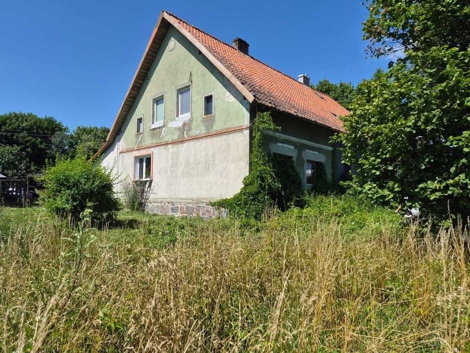 Siedlisko połowa domu 100 m2 (bliźniak) z budynkiem gospodarczym np. dla zwierząt koń ogród Duża działka (2200 m2) piwnica Jemiołowo k. Olsztynek