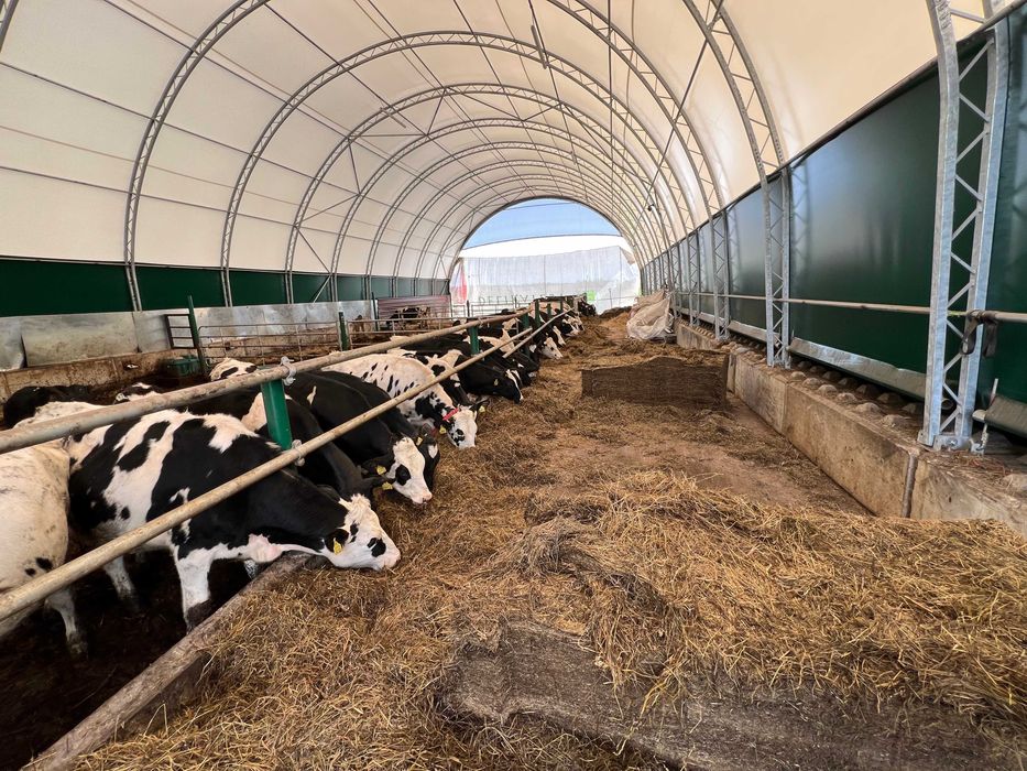 Hala Łukowa, Hale Rolnicze, Obora, Hala na Bale, Hala Namiotowa,Zboże