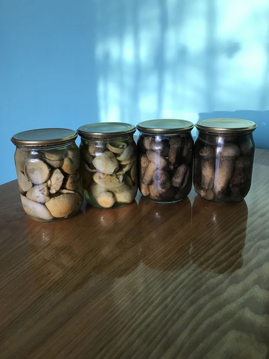 Гриби мариновані збір 2025
