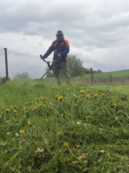 Wykaszanie traw nieużytkow oraz chaszczy