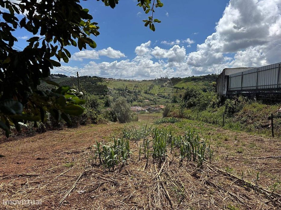 Terreno  para venda