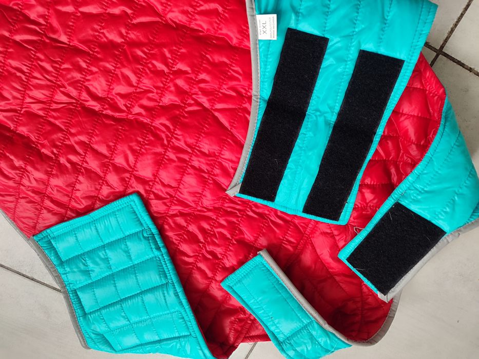 Одяг для собаки. Курточка, черевички