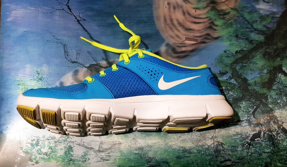 Кроссовки Nike Flex Experience