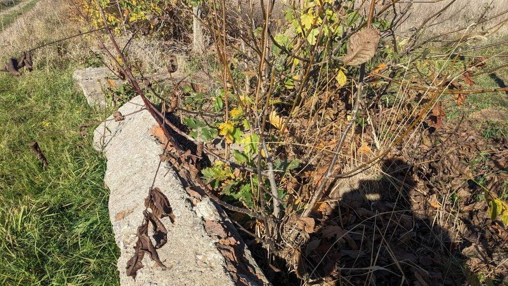 Бетонна колона будівельна