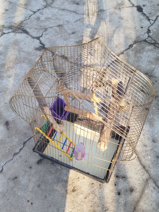 Клітка для папуги б/в у хорошому стані