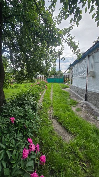 Продаж будинку м.Тараща.Киівська обл