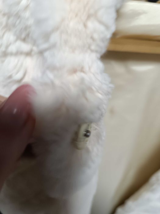 Шубка кролик на кнопках