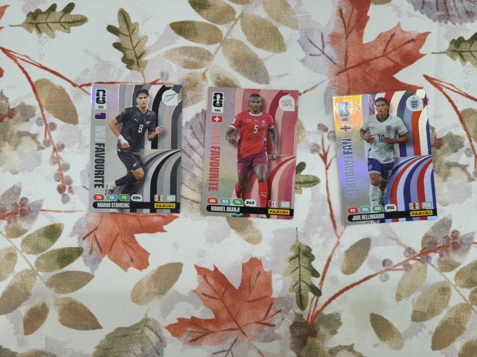 Cards da Panini Oficial