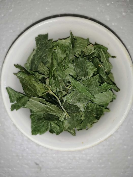 Гербарий, сушеные растения, цветы, травы, ягоды