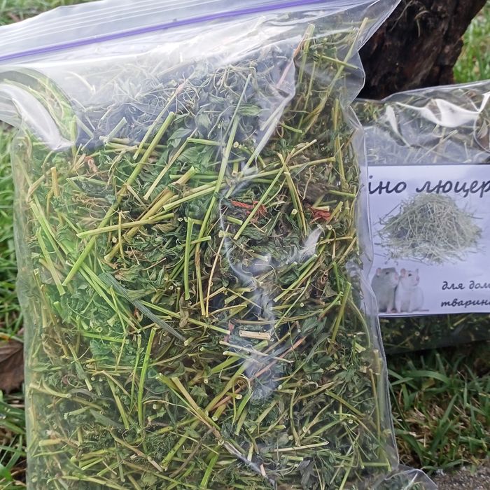 Сіно    люцерни.