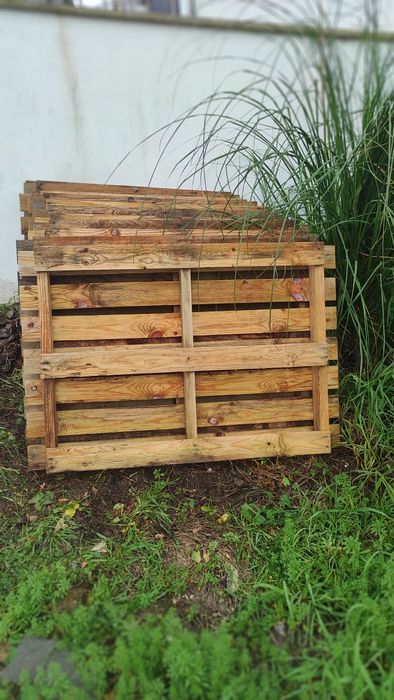 Paletes  madeira