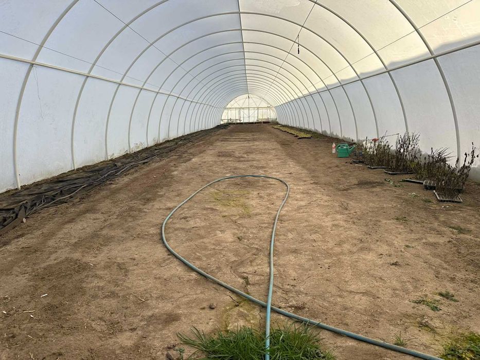 Перспективна ділянка з теплицями для успішного агробізнесу