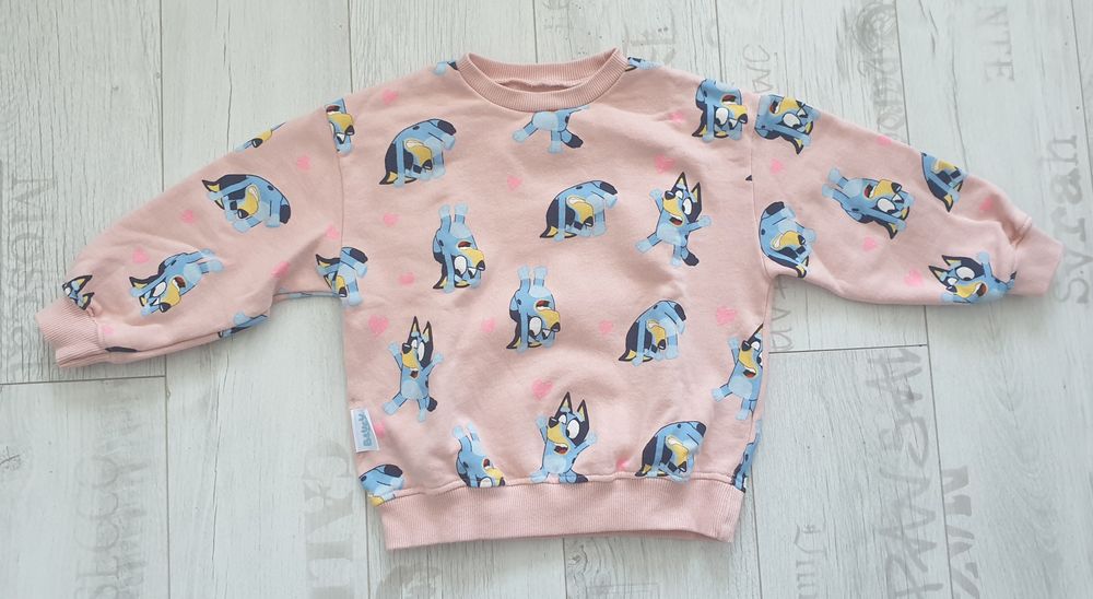 Bluza Zara 98 bluey