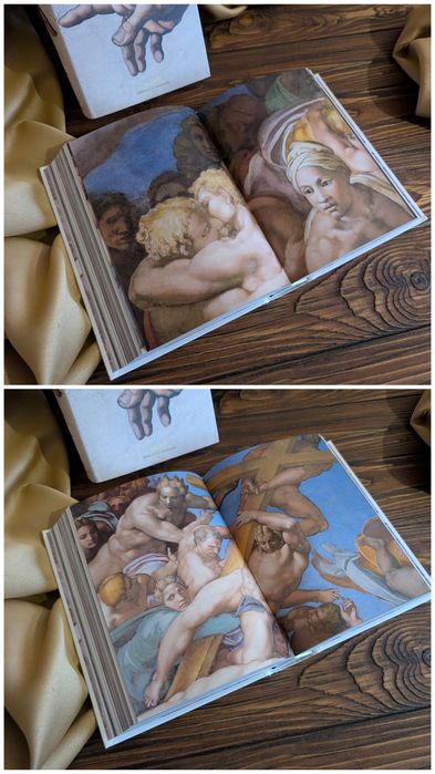 Книга Michelangelo. The Complete Paintings, Sculptures and Architecture