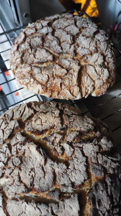 Venda/Troca BIO Pão Artesanal Massa Mãe