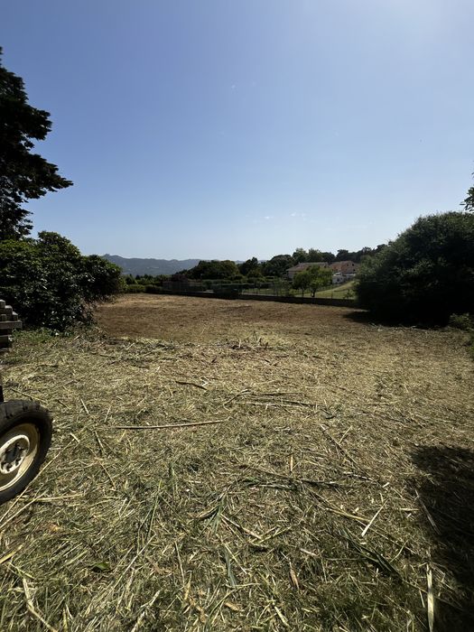 Limpeza de Terrenos - Corte de Árvores - Jardins