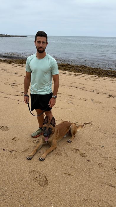 Treinador Canino