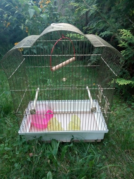 Klatka dla drobnych ptaków egzotycznych.