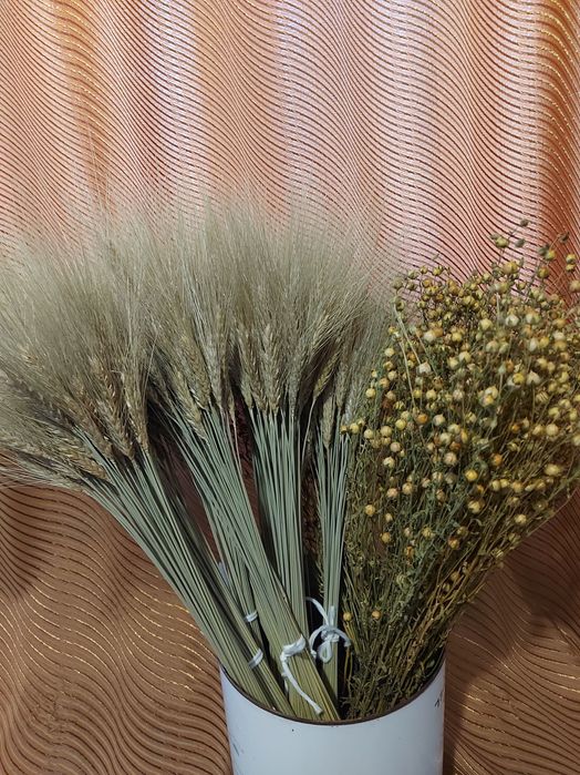 Колоски пшениця Жизель, льон