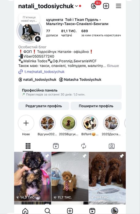 Цуценята такси кроль міні