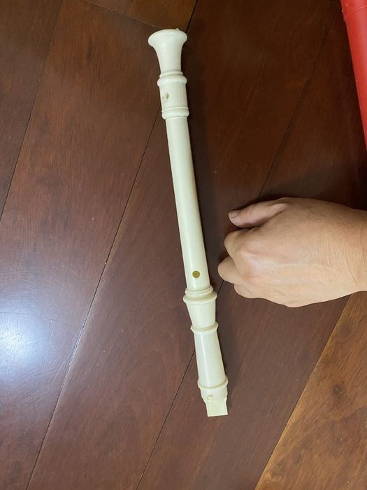 Flauta em plastico