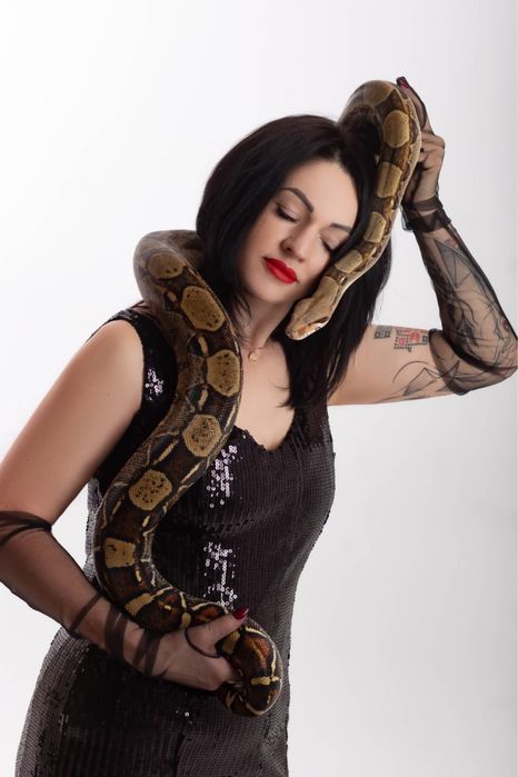 Оренда аренда удава для фото