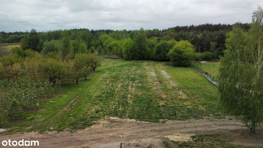 Działka 1087m² z WZ| Sobienie-Jeziory | Las | 40km od Warszawy - Widok 5