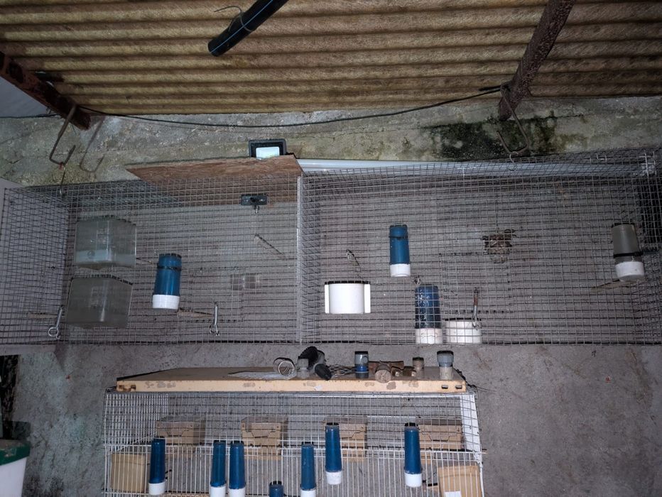 Gaiolas em segunda mão