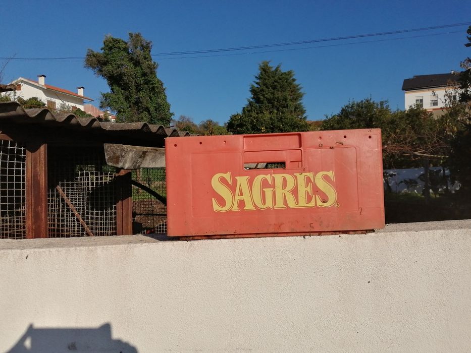 Grades de cerveja conjunto