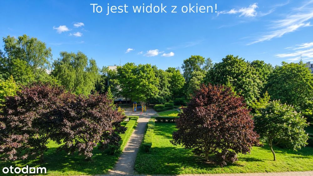 Mieszkanie z charakterem w centrum Wrocławia | elastyczny rozkład