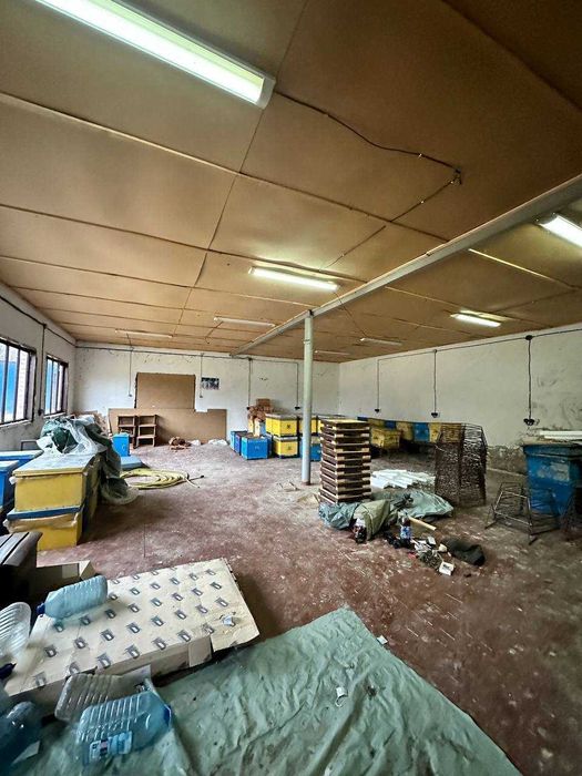 Продам Будинок,землю,с. Гречаники, Переяславський р-н/під виробництво