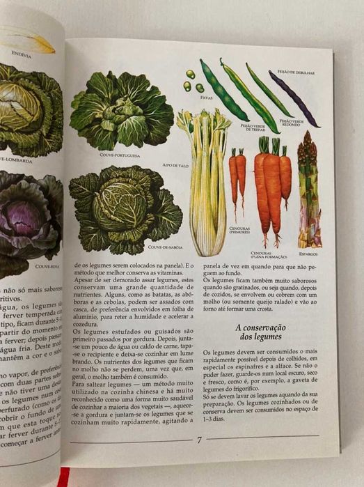 Livro "Um Mundo de Sabores — Legumes" (portes grátis)