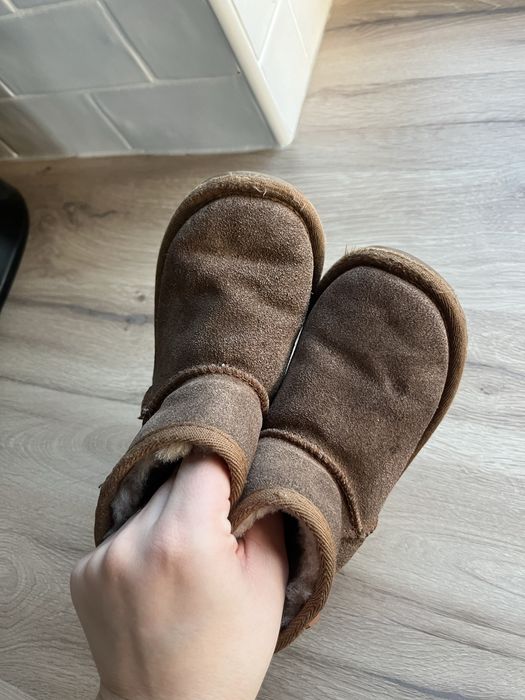 Brązowe emu 25/26