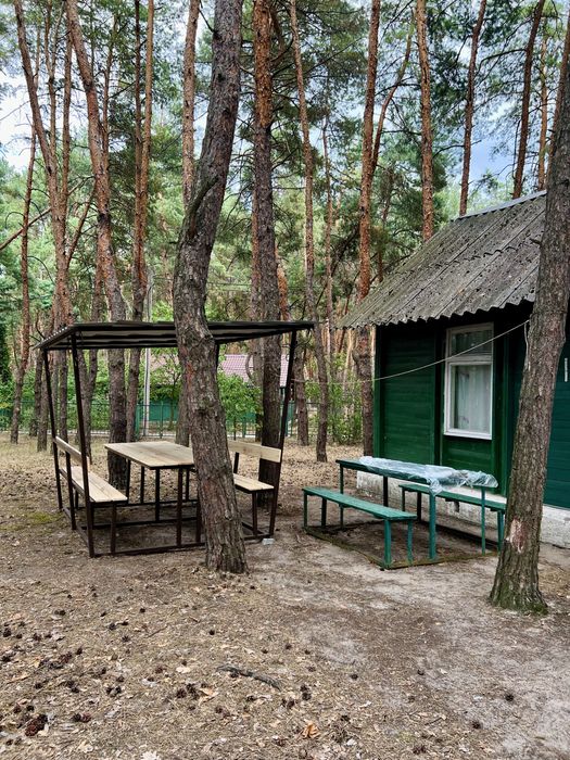 База відпочинку «ДНІПРО» у лісі, біля ріки Орель ПРОДАЖ