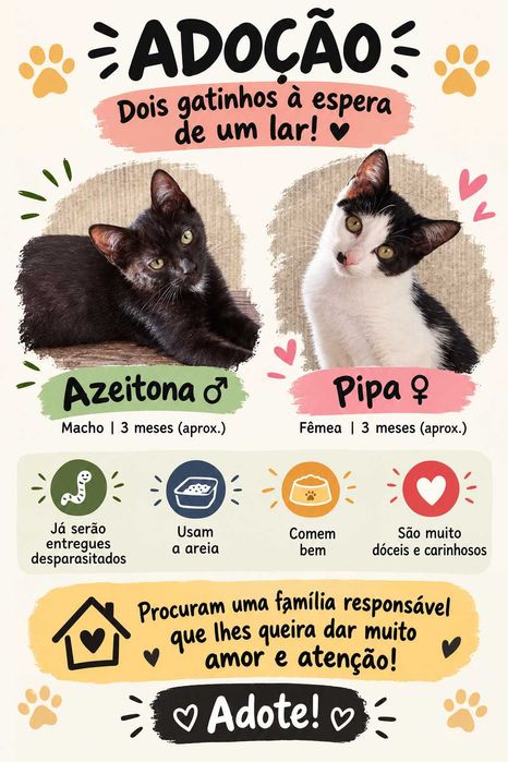 Gatinhos para Adoção