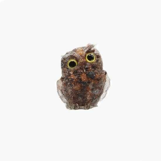 Orgonite Mocho - Vários modelos