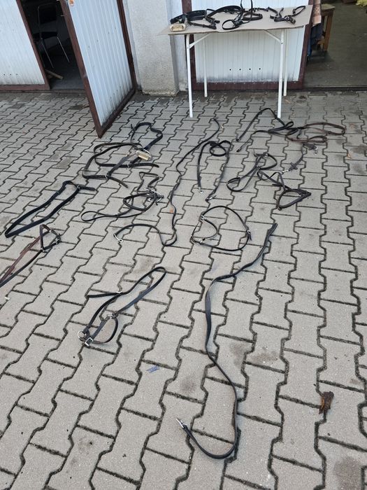 Zestaw akcesoriów jeździeckich – wodze, paski, wytoki, strzemiona – 25 sztuk