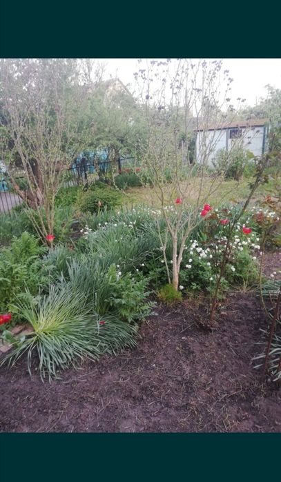 Дача з цегляним будинким кооператив Озон