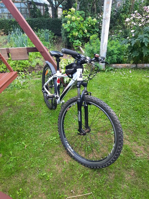 Rower Raleigh dla nastolatka/latki
