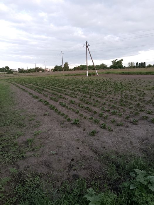 Земельна ділянка