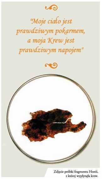 102 Cuda Eucharystyczne z całego świata - folderek drukowany