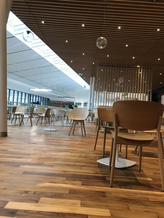 Renowacja podłóg oraz schodów drewnianych